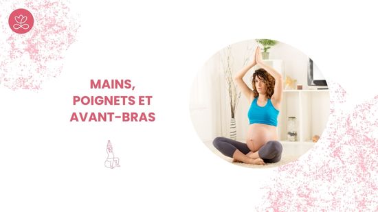 5. Mains, poignets et avant-bras